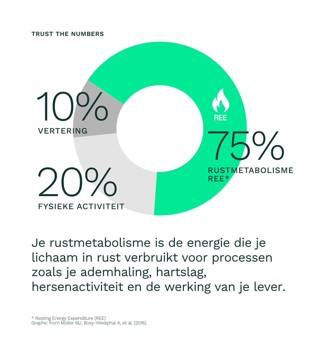 Metabolic Burn Ree Shot - Insentials