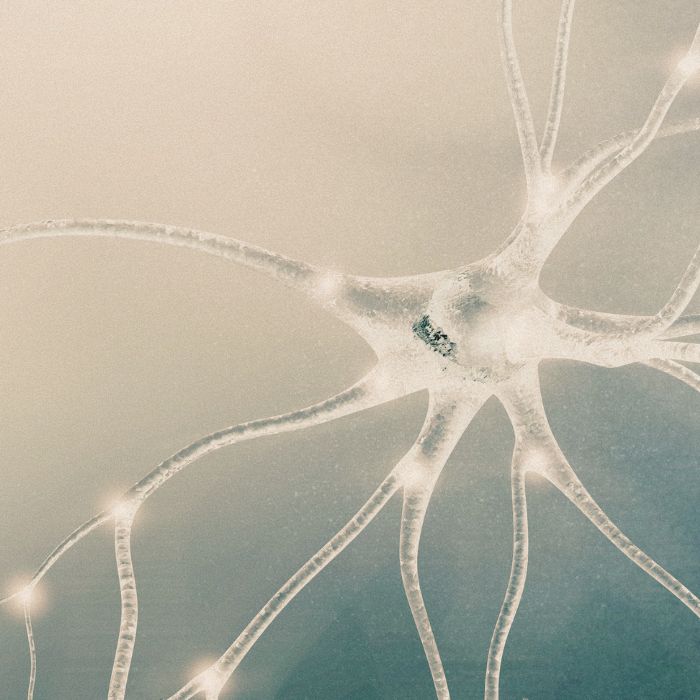 Neuroplasticiteit hersenen trainen