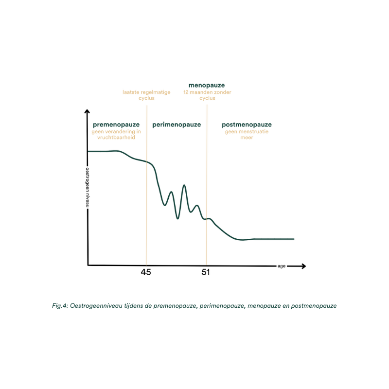 Oestrogeenniveau premenopauze perimenopauze menopauze