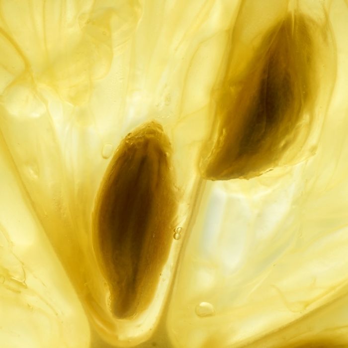 Onmisbare rol vitamine c collageensynthese