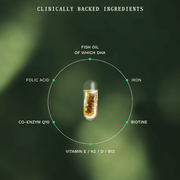 Routine 1 - 2 - 3 Fat Burner (Smart Weight Pack) - Insentials