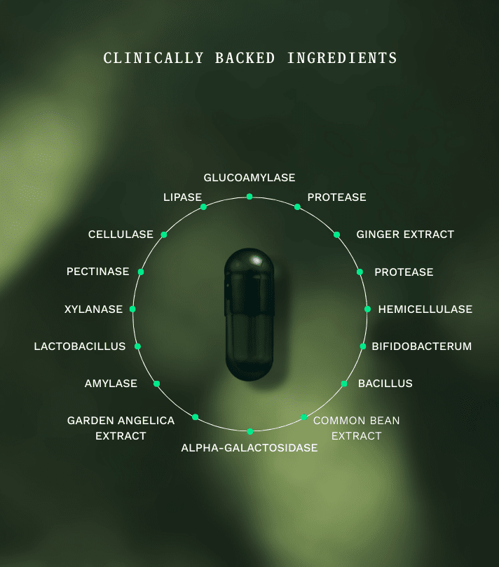 Duo Kit Symbiotic DIGEST+ Jar & Navulzakje - Insentials