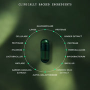 Gut Repair Day & Night - Insentials