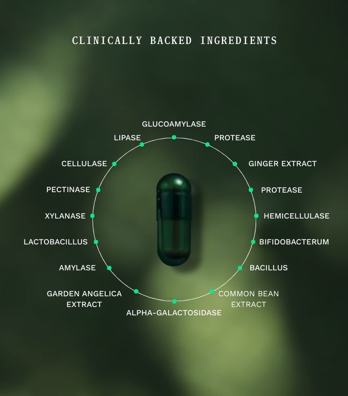 Gut Repair Day & Night - Insentials