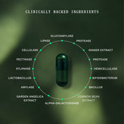 Symbiotic (Gut Day) - Insentials