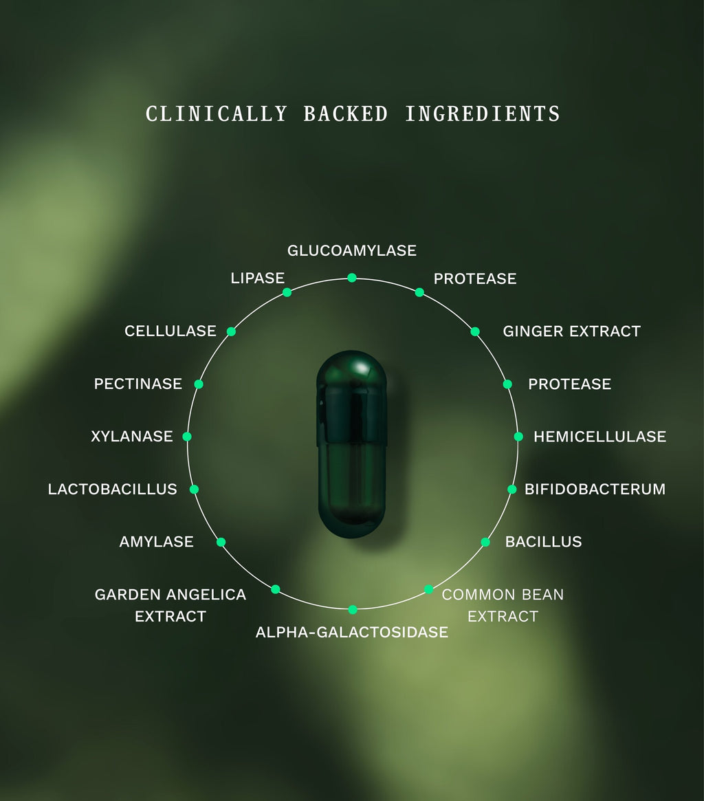 Symbiotic (Gut Day) - Insentials