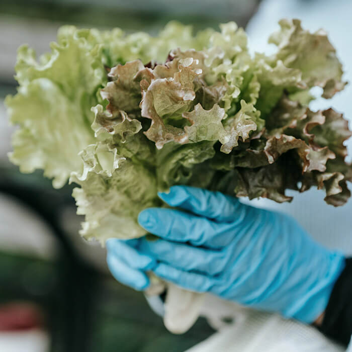 Vermindering gehalte voedingsstoffen planten