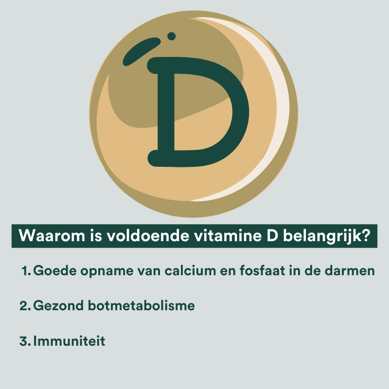 Vitamine d voor kinderen