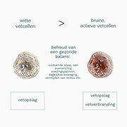 witte en bruine vetcellen balans
